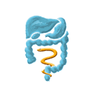 Logo gastroenterologische Schwerpunktpraxis Dr. med. Rainer Müller, Dr. med. Jens Müller-Ziehm